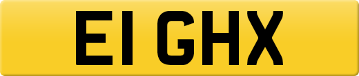E1GHX