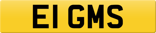 E1GMS