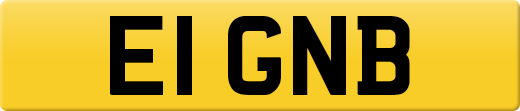 E1GNB