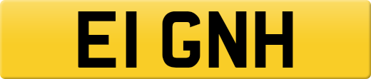 E1GNH