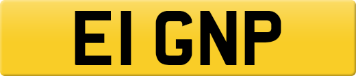 E1GNP