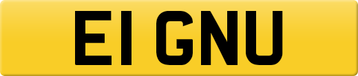 E1GNU