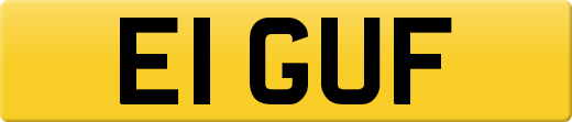 E1GUF
