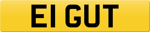 E1GUT