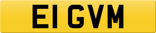 E1GVM