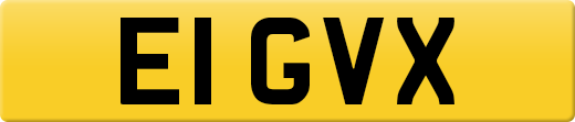 E1GVX