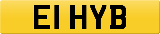 E1HYB