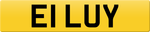 E1LUY