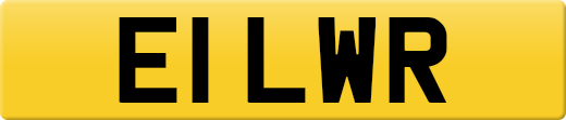 E1LWR