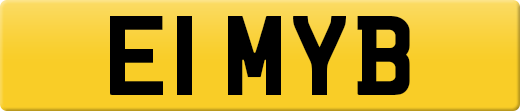 E1MYB
