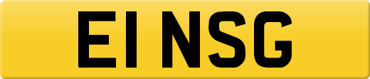 E1NSG