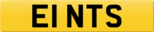 E1NTS