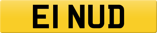 E1NUD