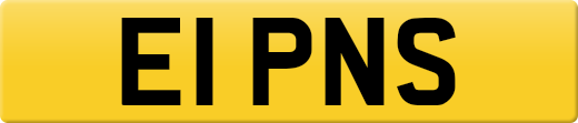 E1PNS