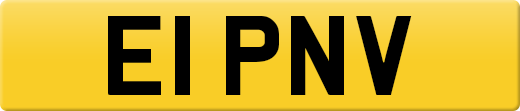 E1PNV