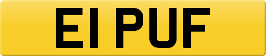 E1PUF