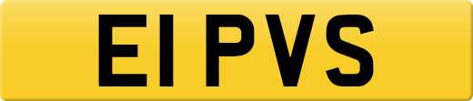E1PVS