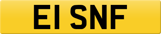 E1SNF