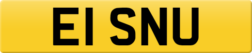 E1SNU
