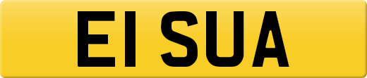 E1SUA