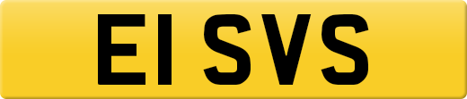 E1SVS