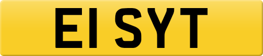 E1SYT