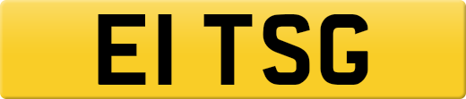 E1TSG