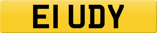 E1UDY
