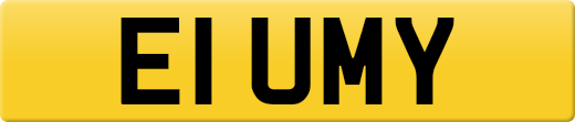 E1UMY