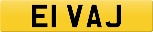 E1VAJ
