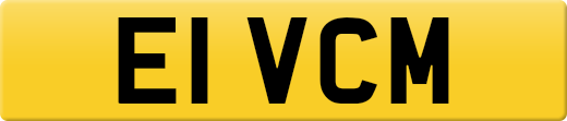 E1VCM