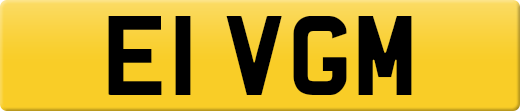 E1VGM