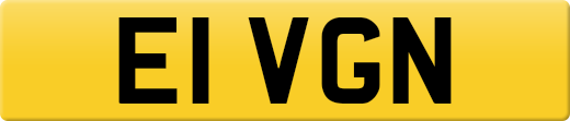 E1VGN