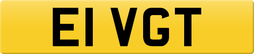 E1VGT