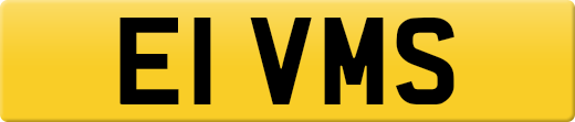E1VMS