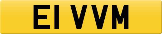 E1VVM