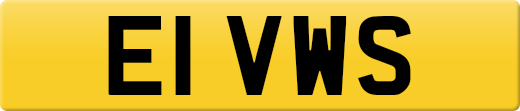 E1VWS