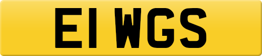 E1WGS