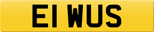 E1WUS