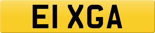 E1XGA