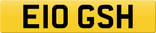E10GSH