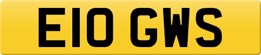 E10GWS