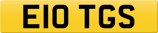 E10TGS