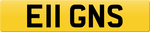 E11GNS
