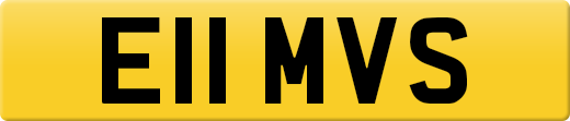 E11MVS