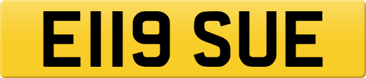 E119SUE