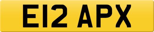 E12APX