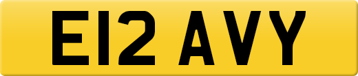 E12AVY