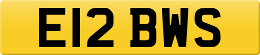 E12BWS