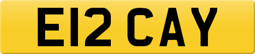 E12CAY